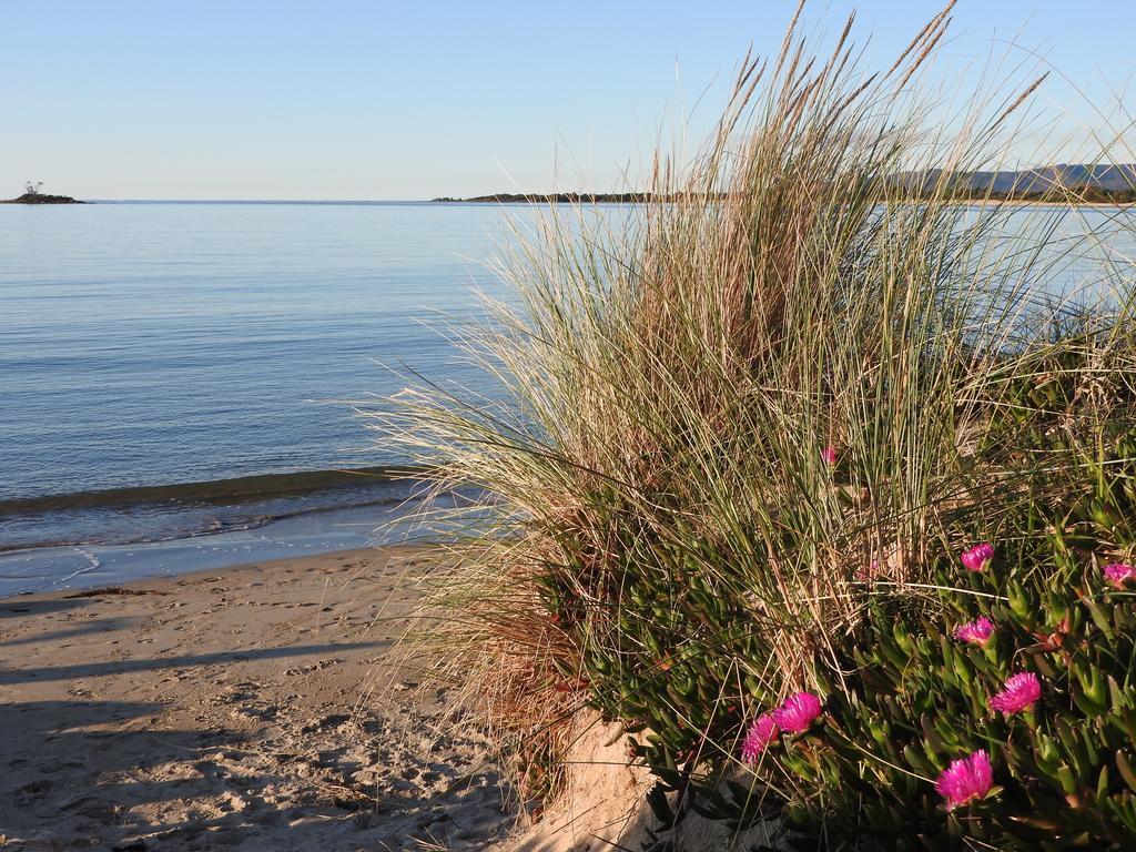 فندق Moomba Holiday And Caravan Park Port Sorell المظهر الخارجي الصورة